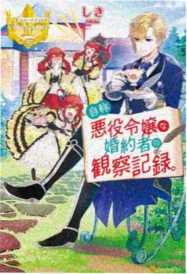 次元姬小说《夏日回声信号》封面